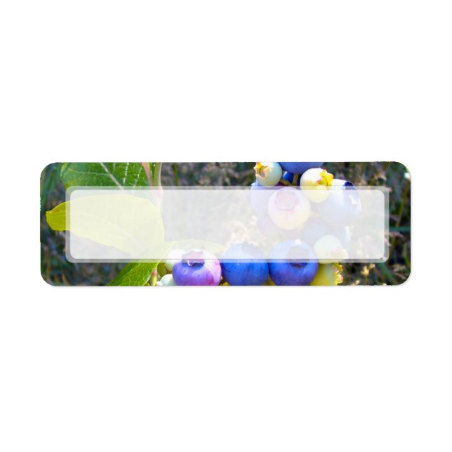 Blueberries On The Bush (Front)