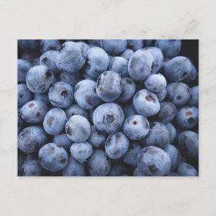 BLUEBERRIES PHOTOGRAPHY FRUITS HEALTHY POSTCARD