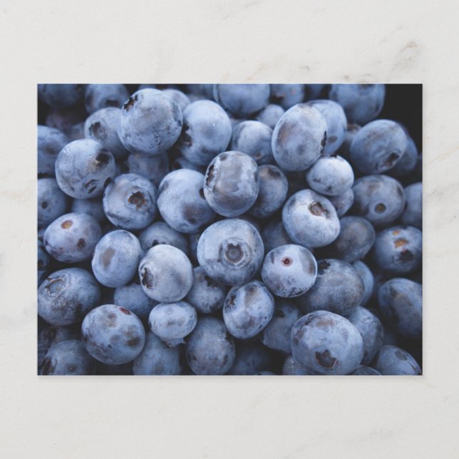 BLUEBERRIES PHOTOGRAPHY FRUITS HEALTHY POSTCARD (Front)