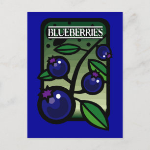 Blueberries Postcard