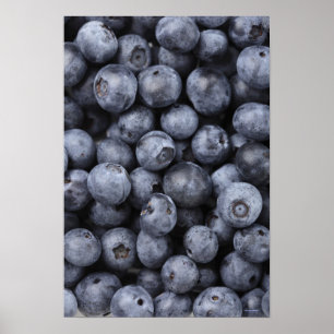 Blueberries Poster