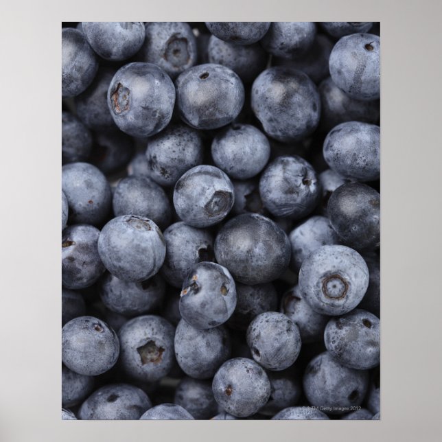 Blueberries Poster (Front)