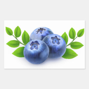 Blueberries Rectangular Sticker