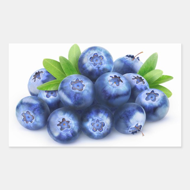 Blueberries Rectangular Sticker (Front)