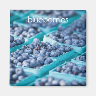 Blueberries Refrigerator Magnet