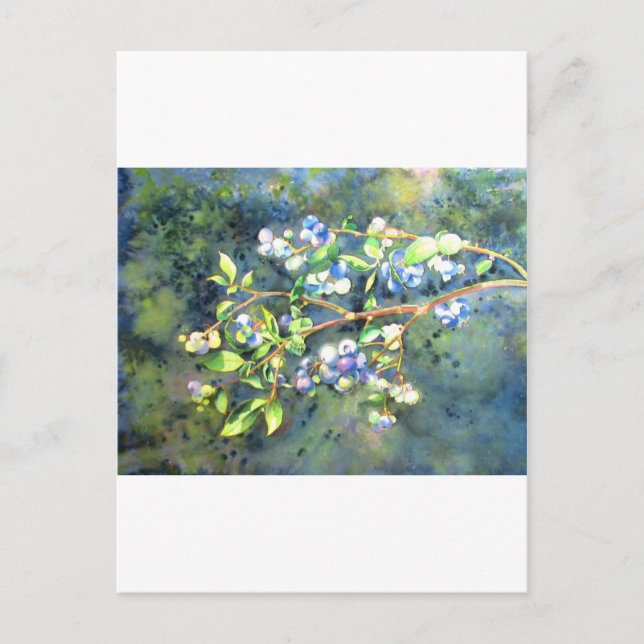Blueberries, romantic fruit Watercolor painting Postcard (Front)
