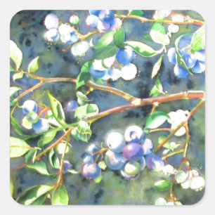 Blueberries, romantic fruit Watercolor painting Square Sticker