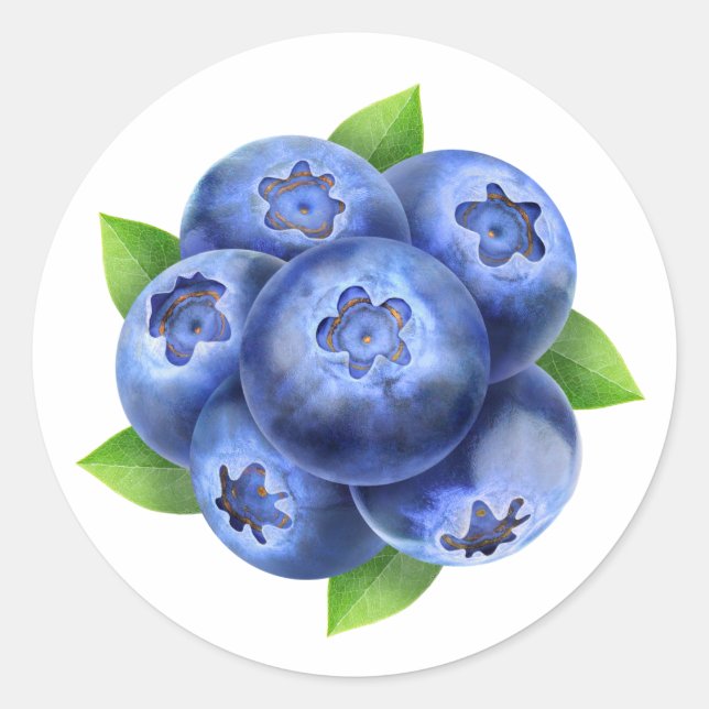 Blueberries round composition classic round sticker (Front)