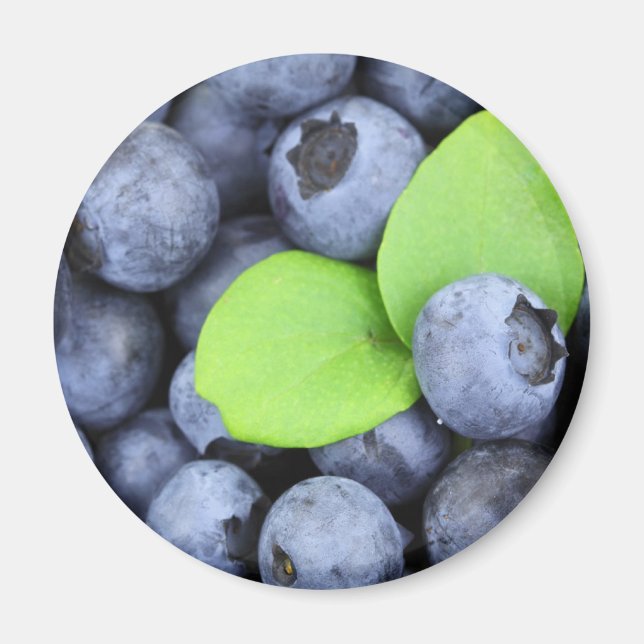 Blueberries v1 magnet (Front)