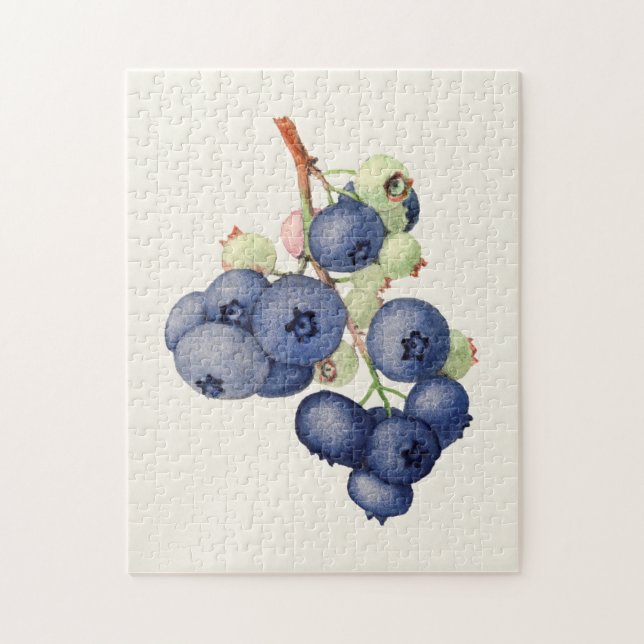 Blueberries (Vaccinium Corymbosum) Fruit Painting Jigsaw Puzzle (Vertical)