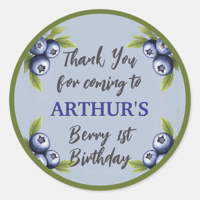 Blueberry 1st birthday baby boy first classic round sticker (Front)