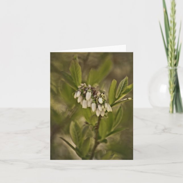 Blueberry 585 card (Front)