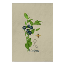 Blueberry Botanical with Bee and Flower 