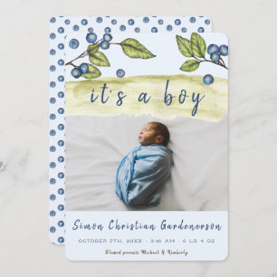 Blueberry Boy Announcement