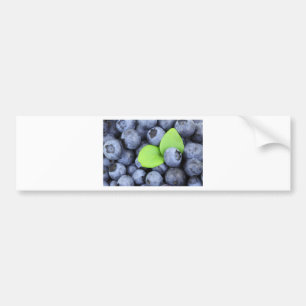BLUEBERRY BUMPER STICKER