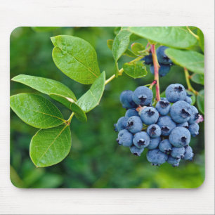 Blueberry Bush Mouse Mat