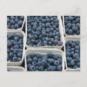 Blueberry Crates Postcard
