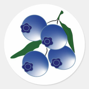 Blueberry Delight Sticker