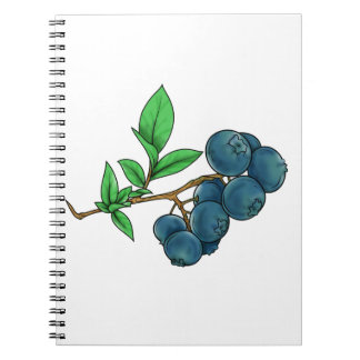 blueberry drawing notebook