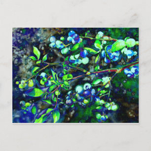 Blueberry - green hue postcard