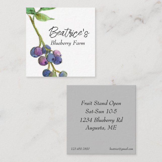 Blueberry Hobby Fruit Farm Business  Square Business Card (Front/Back)