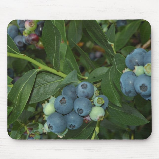 Blueberry Mouse Mat (Front)