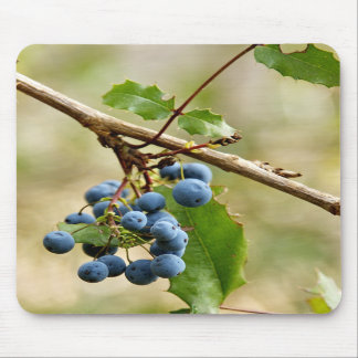 Blueberry Mousepads