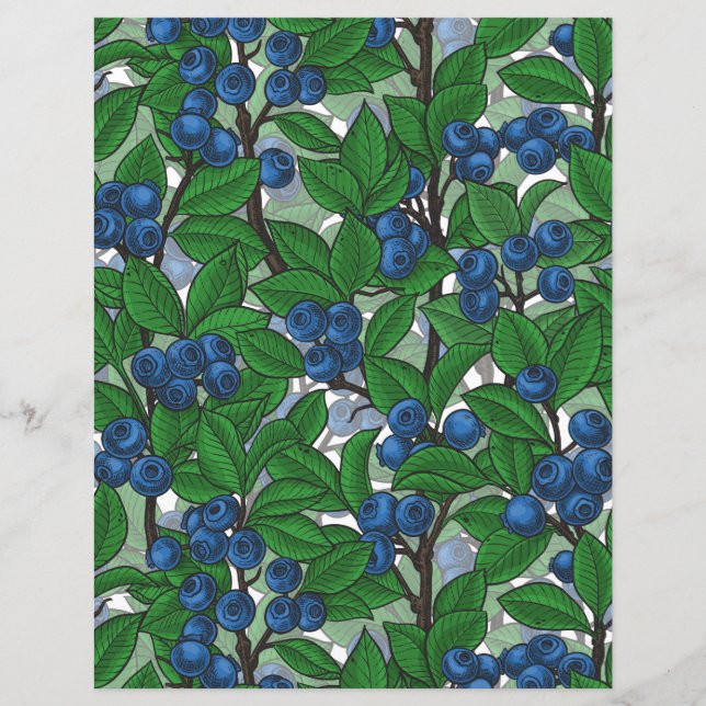 Blueberry on white (Front)