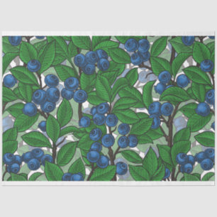 Blueberry on white tissue paper