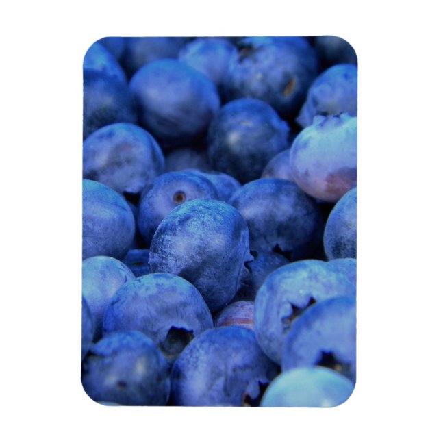 blueberry pile magnet (Vertical)