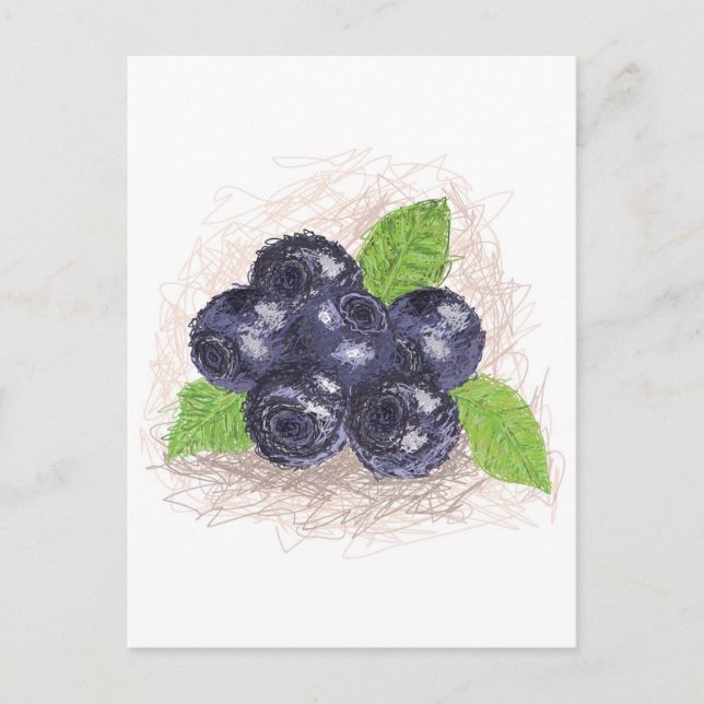 blueberry postcard (Front)