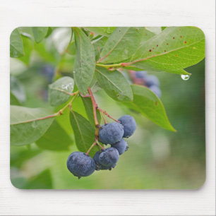 Blueberry Rain Mouse Mat