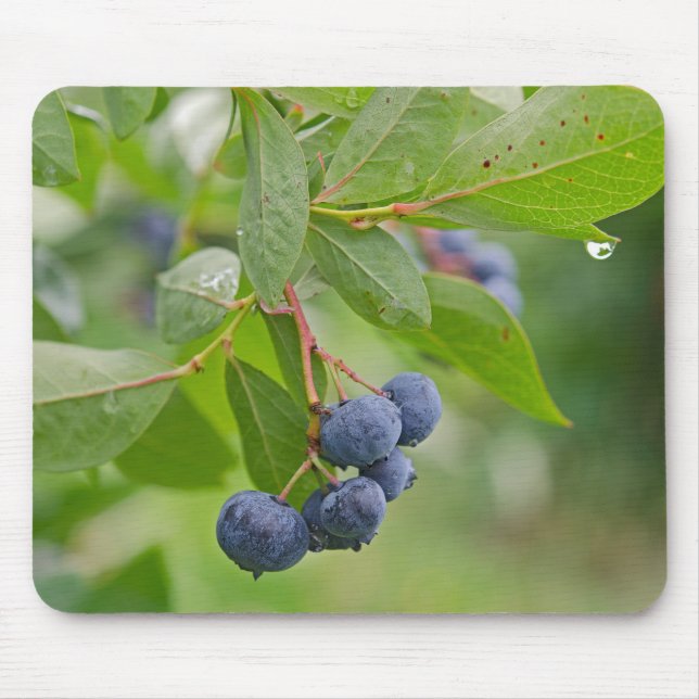 Blueberry Rain Mouse Mat (Front)