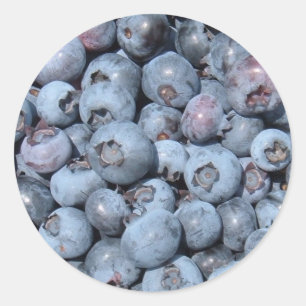 Blueberry Stickers