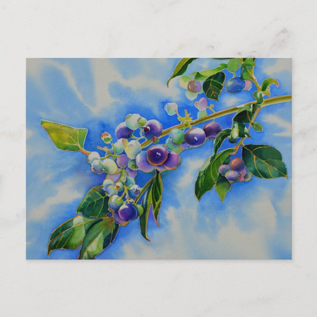 Blueberry watercolor painting postcard (Front)