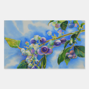 Blueberry watercolor painting rectangular sticker