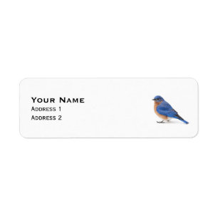 Bluebird