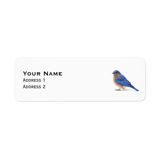 Bluebird (Front)