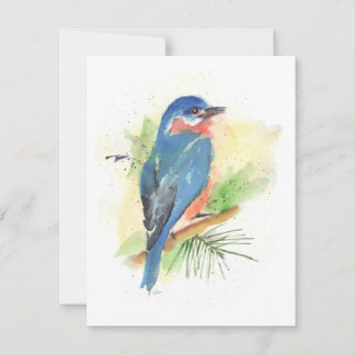 Bluebird All Occasion Note Card