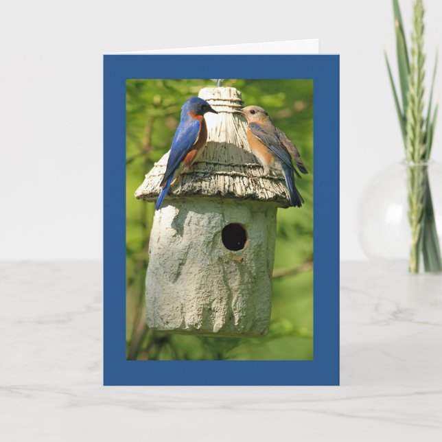 bluebird anniversary card (Front)