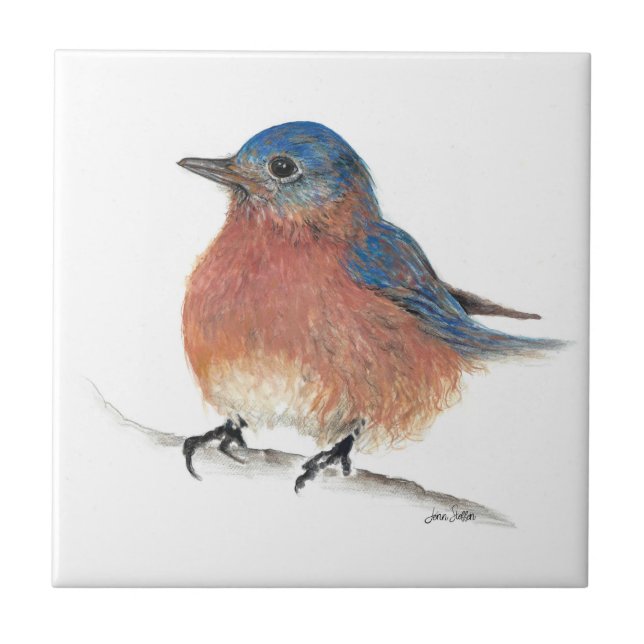 Bluebird Art Tile (Front)