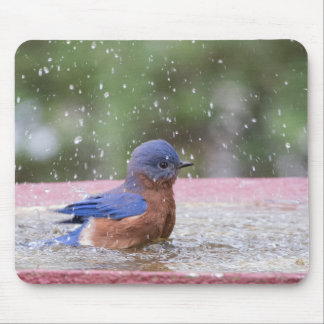 Bluebird at Birdbath Mouse Mat
