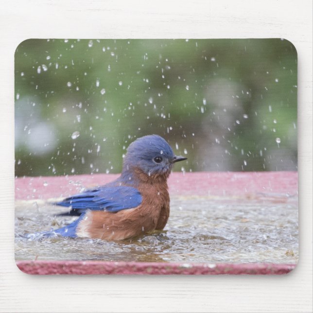 Bluebird at Birdbath Mouse Mat (Front)