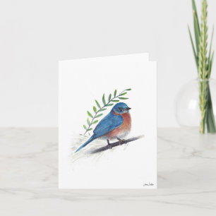 Bluebird Bird Art Card