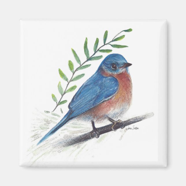Bluebird Bird Art Magnet (Front)