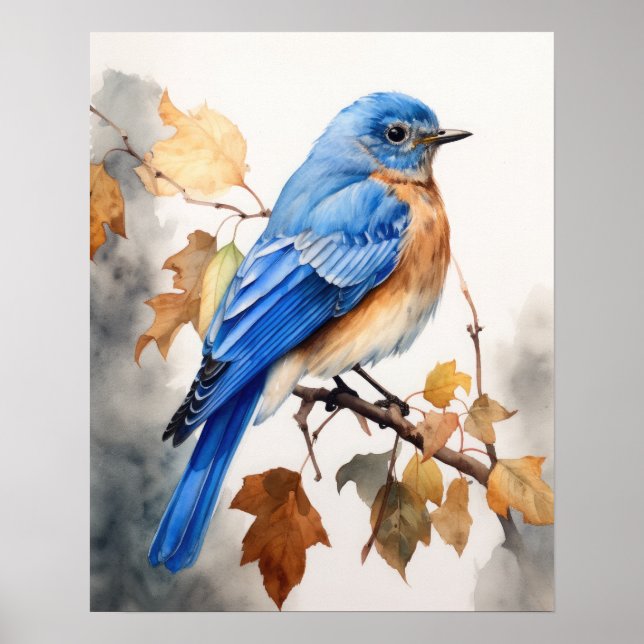 Bluebird Bird Art Print Poster  (Front)