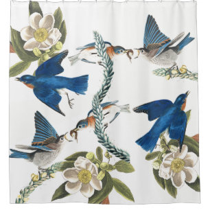 Bluebird Birds Audubon Wildlife Shower Curtain