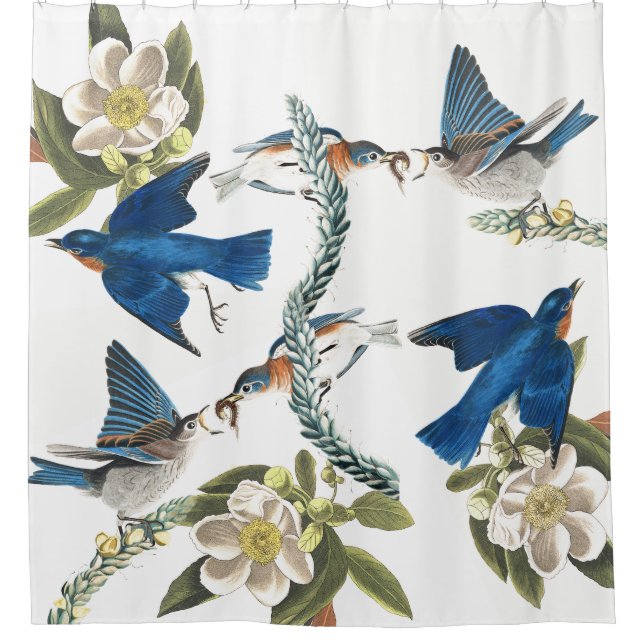 Bluebird Birds Audubon Wildlife Shower Curtain (Front)