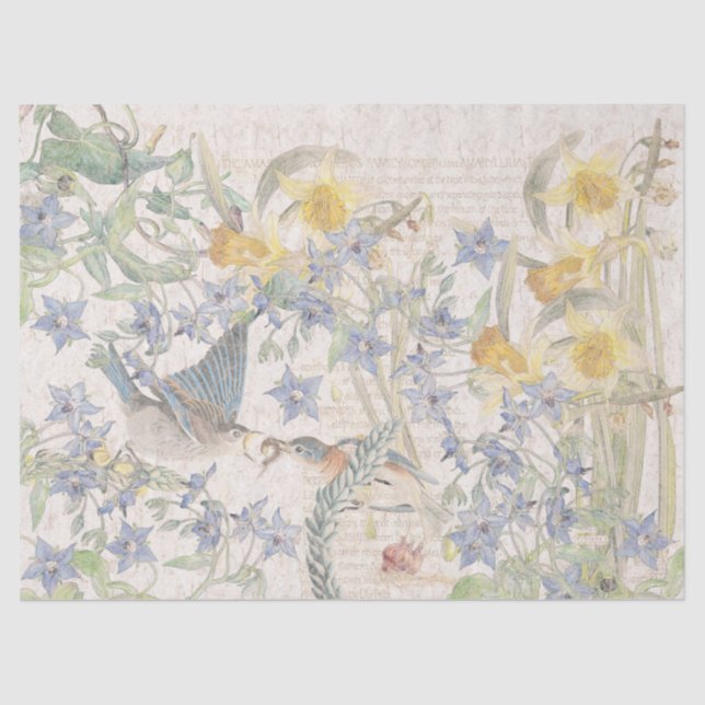 Bluebird Birds Narcissus Flowers Tissue Paper (Front)