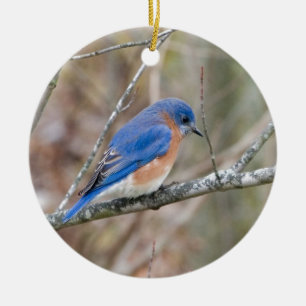 Bluebird Blue Bird in Tree Ceramic Tree Decoration